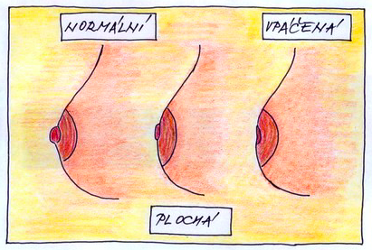 Snímek obrazovky 2025-05-17 v 10.56.12
